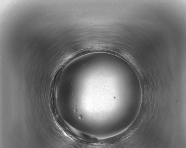 X0000059250485200510211633