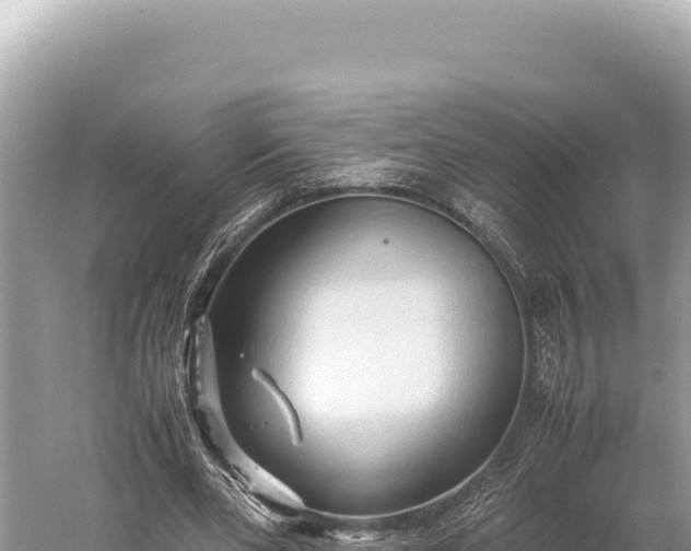 X0000059250486200510211633