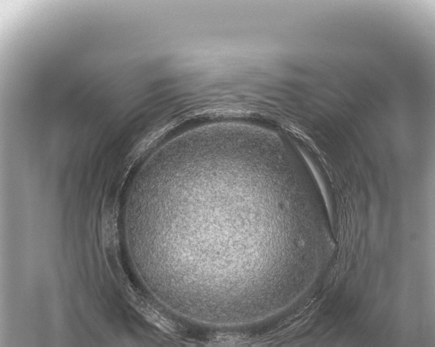 X0000059250487200510211633