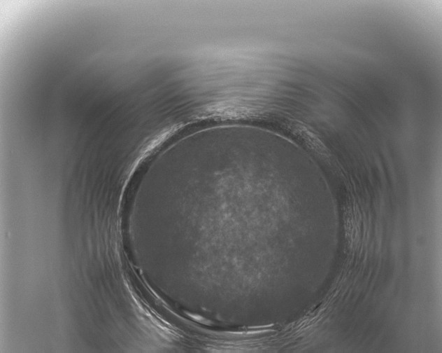 X0000059250488200510211633