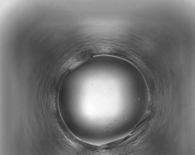 X0000059250489200510211633