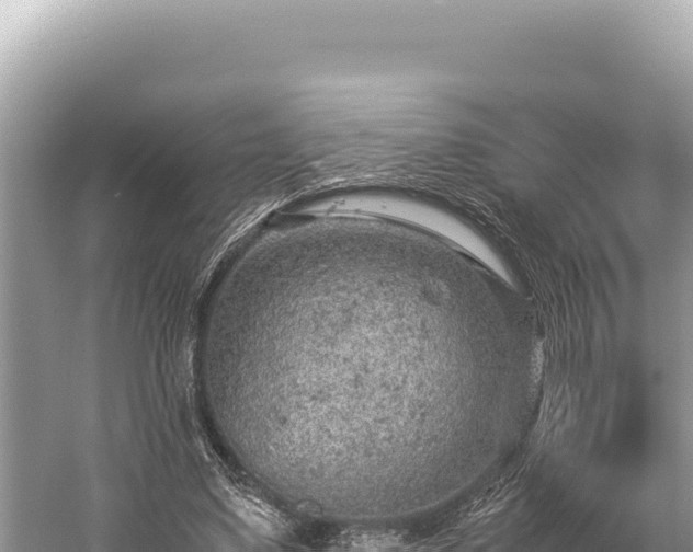 X0000059250491200510211633