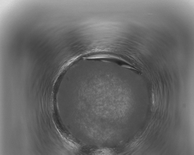 X0000059250492200510211633