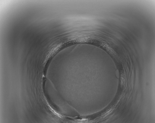 X0000059250493200510211632