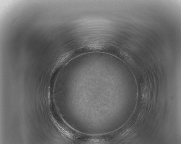 X0000059250494200510211632