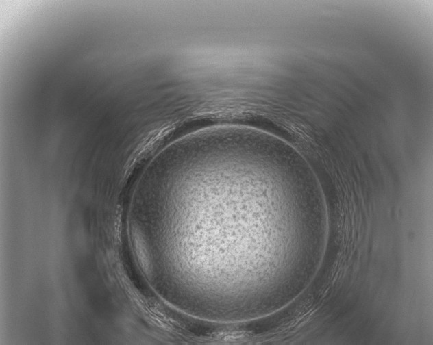 X0000059250495200510211632