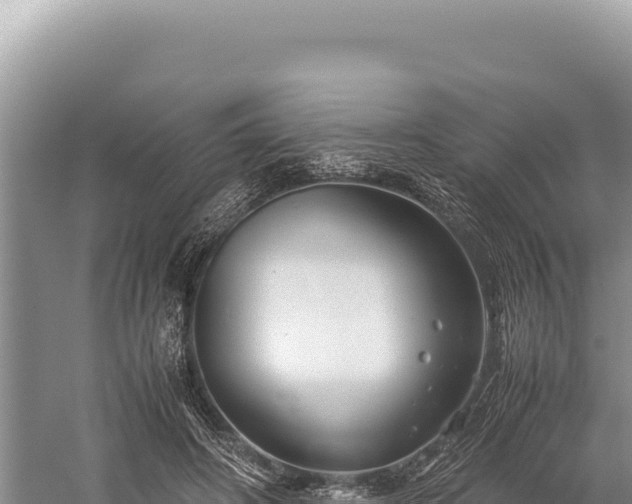 X0000059250498200510211632