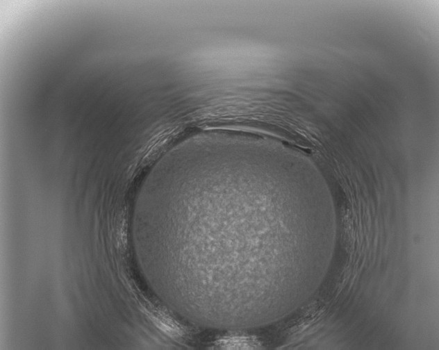 X0000059250499200510211632