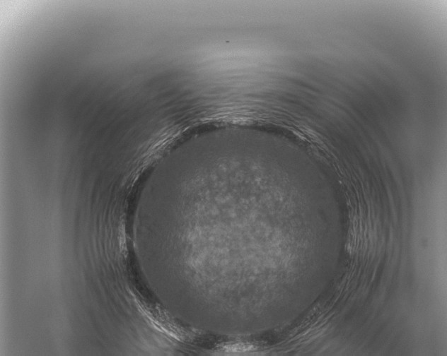 X0000059250500200510211632