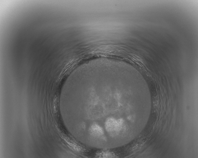 X0000059250503200510211632