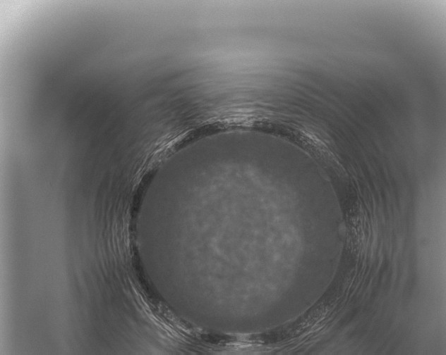 X0000059250504200510211632