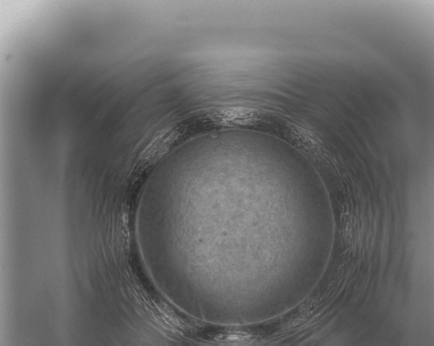 X0000059250506200510211632