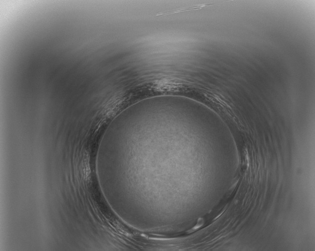 X0000059250508200510211632