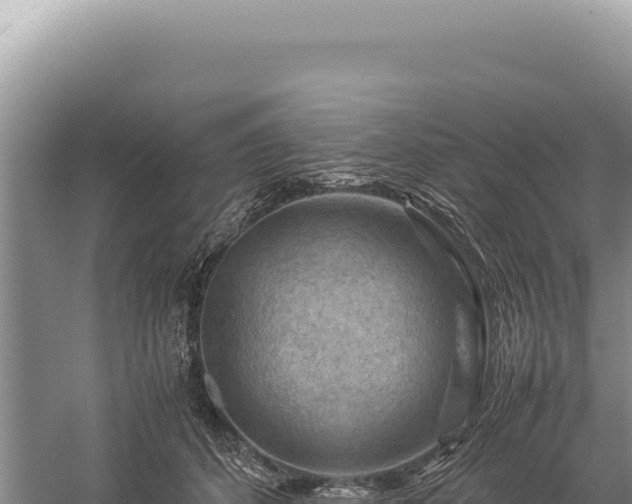 X0000059250512200510211632