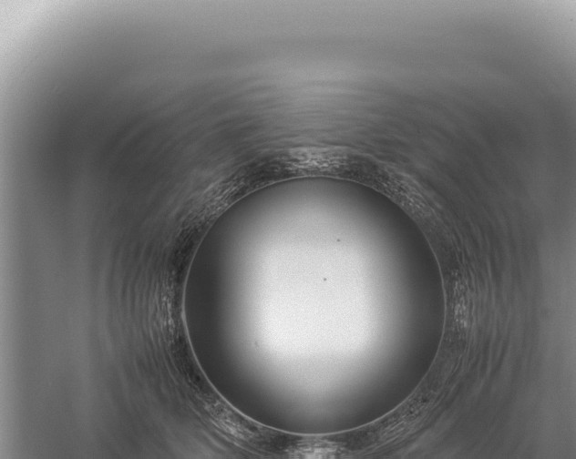 X0000059250514200510211632