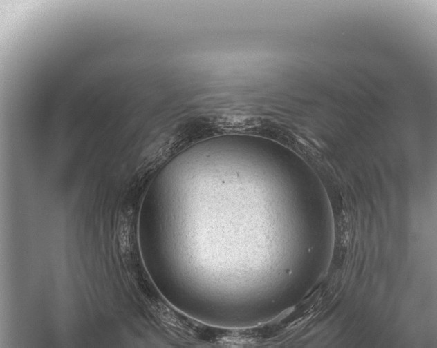 X0000059250515200510211632