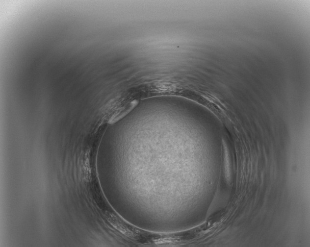 X0000059250516200510211632