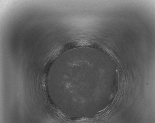 X0000059250517200510211632