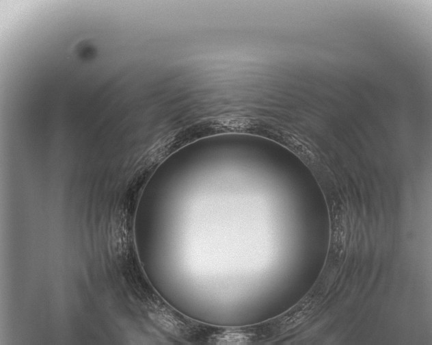 X0000059250518200510211632