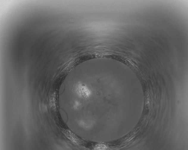 X0000059250519200510211632