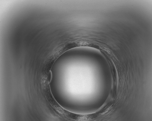 X0000059250521200510211632