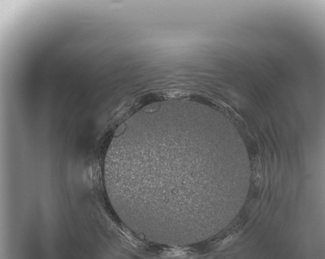 X0000059250523200510211632