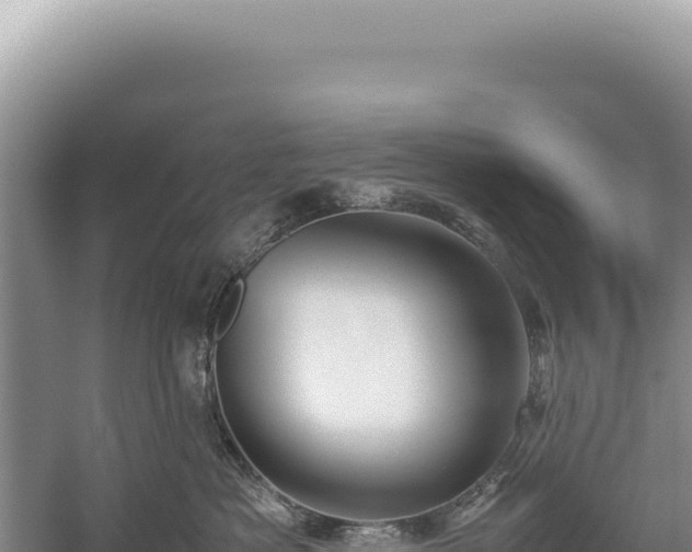 X0000059250525200510211632