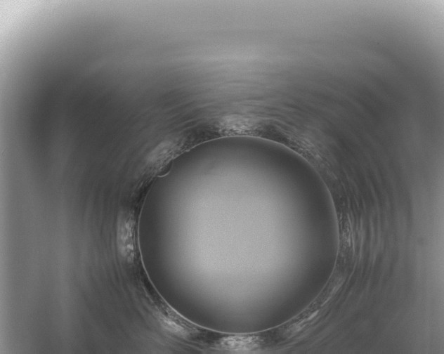 X0000059250526200510211632