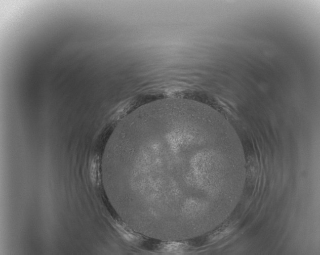 X0000059250527200510211632