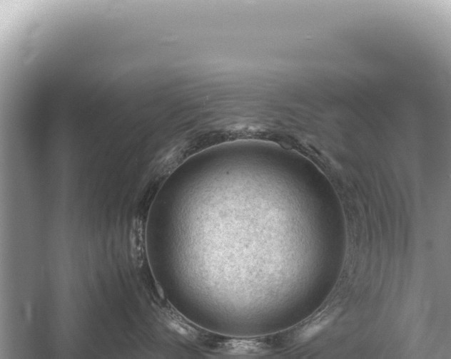 X0000059250528200510211632