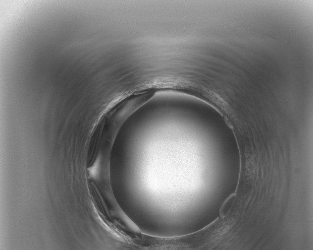 X0000059250530200510211631