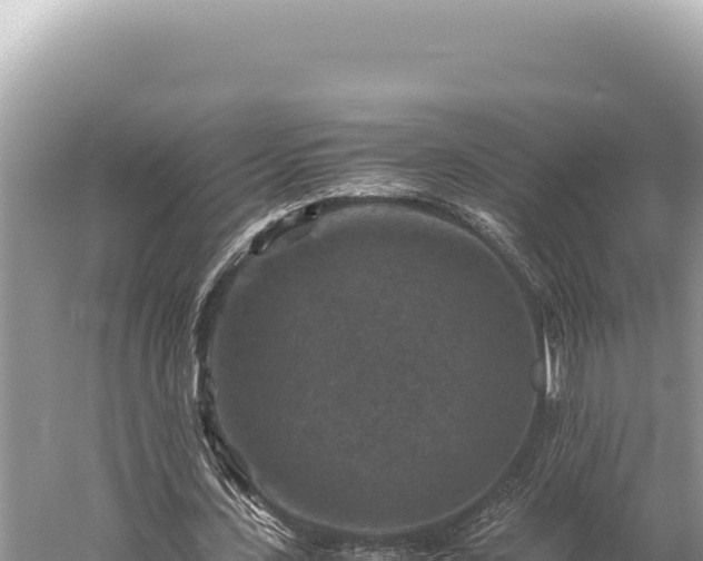 X0000059250531200510211631