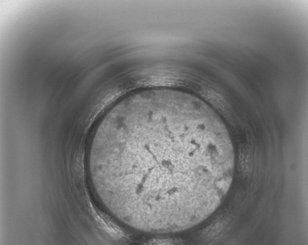 X0000059250534200510211631