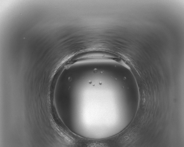 X0000059250535200510211631