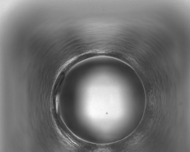 X0000059250536200510211631