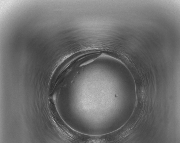 X0000059250540200510211631