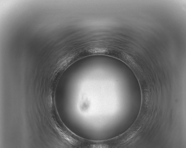 X0000059250541200510211631