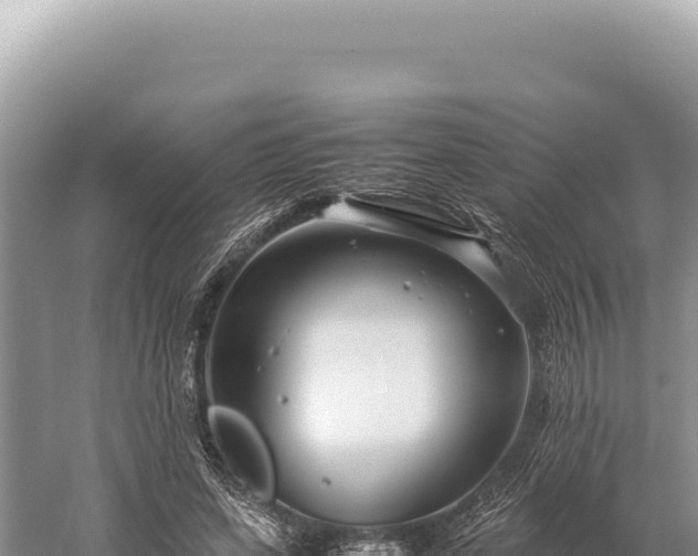 X0000059250543200510211631