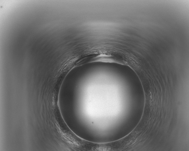 X0000059250546200510211631