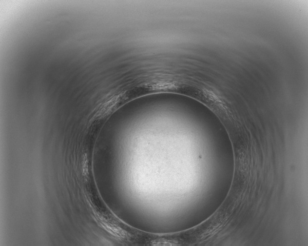 X0000059250549200510211631