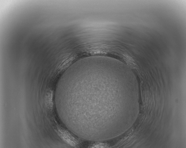 X0000059250550200510211631