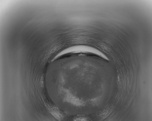 X0000059250551200510211631