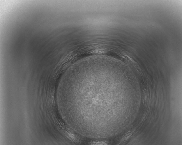 X0000059250553200510211631