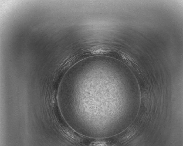 X0000059250554200510211631