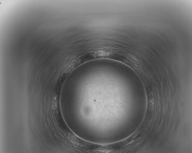 X0000059250555200510211632