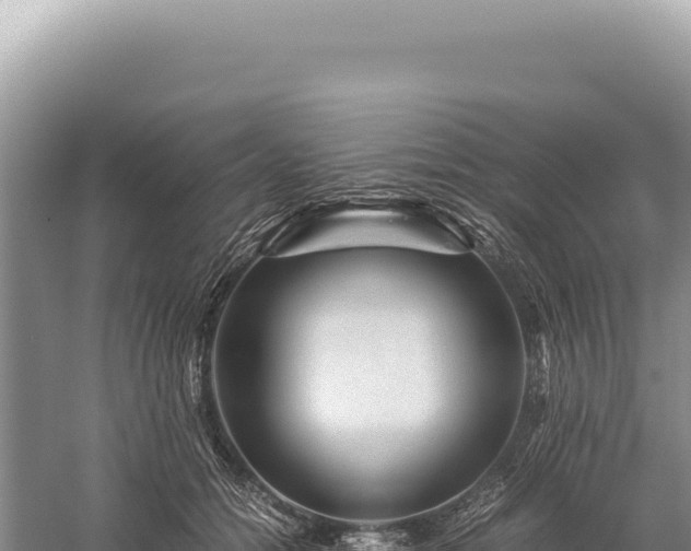 X0000059250558200510211632