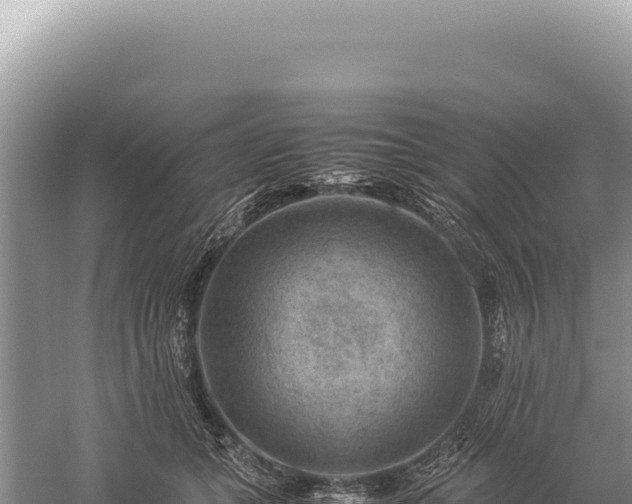 X0000059250559200510211632