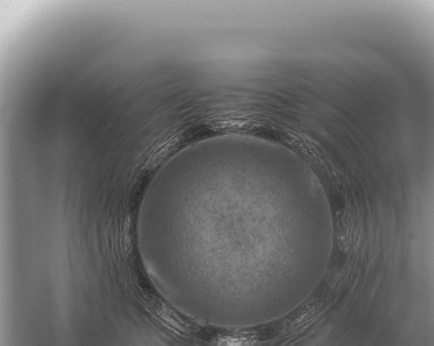 X0000059250563200510211632