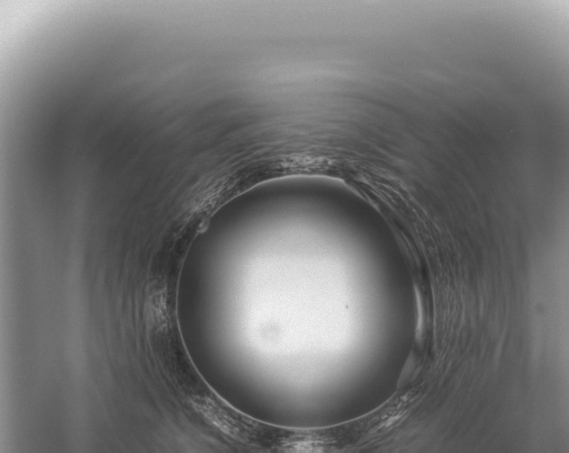 X0000059250564200510211632