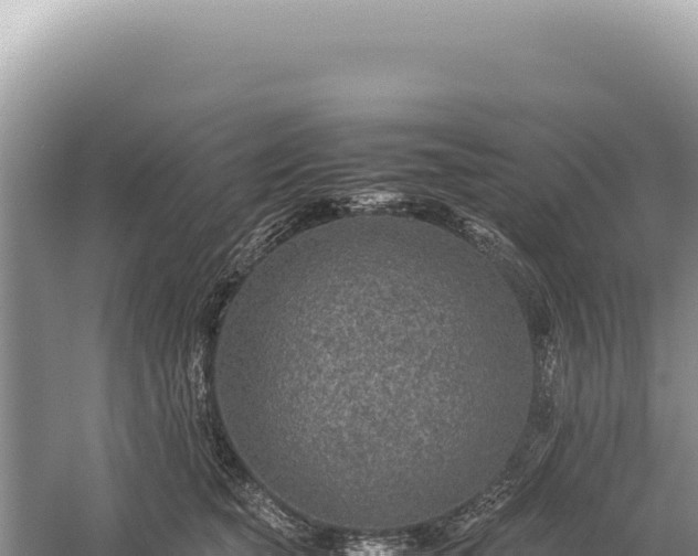 X0000059250565200510211632